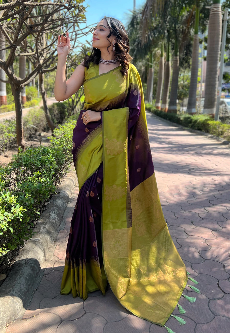 Midnight Elegance Banarasi Saree