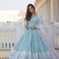 Elegant Sky Blue Gown